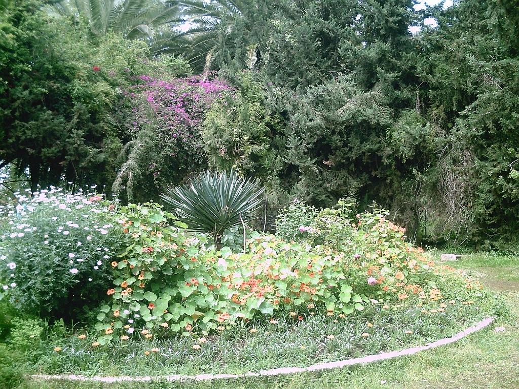 ORAN 04 2007 50 PERREGAUX LE SQUARE VALLORE.JPG
